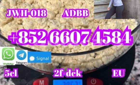 Buy New Alfa Romeo 147 Black Car in Import - Dubai in Central