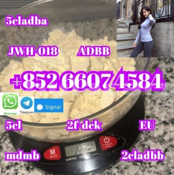 Big with watermark alfa romeo 147 central import dubai 14980