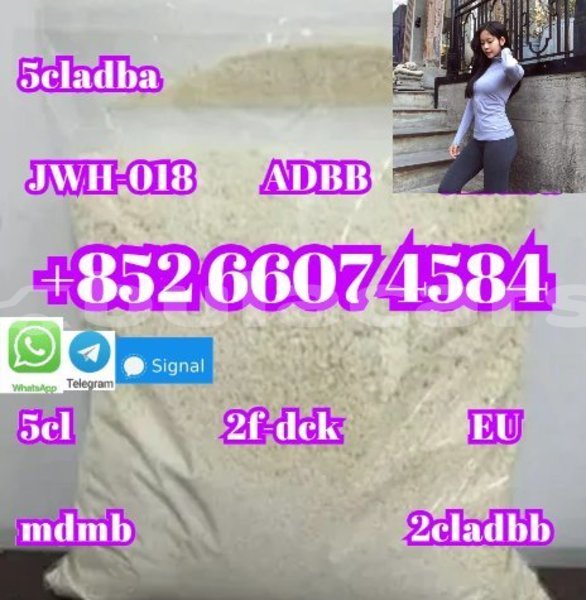 Big with watermark alfa romeo 147 central import dubai 14980