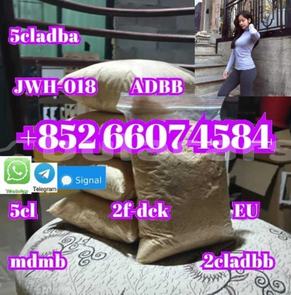 Big with watermark alfa romeo 147 central import dubai 14980