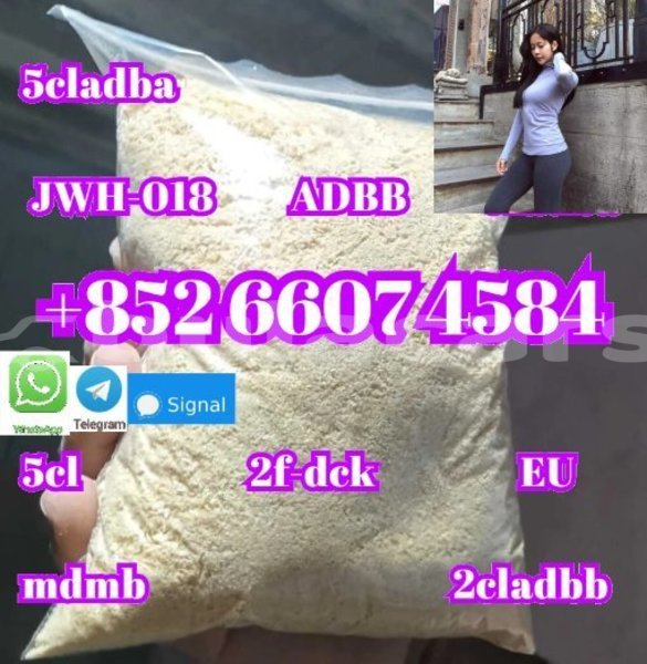 Big with watermark alfa romeo 147 central import dubai 14980