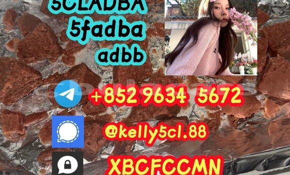 Medium with watermark 1 23 