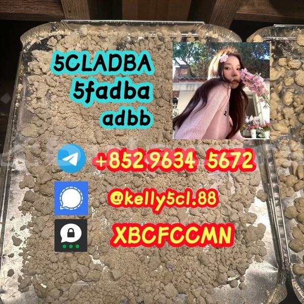 Big with watermark 1 21 