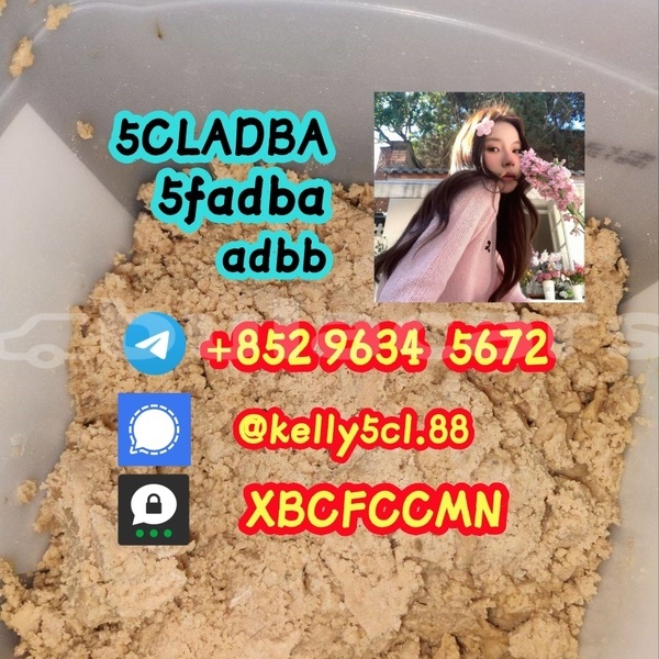 Big with watermark 1 24 