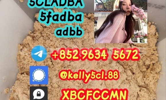 Medium with watermark 1 24 