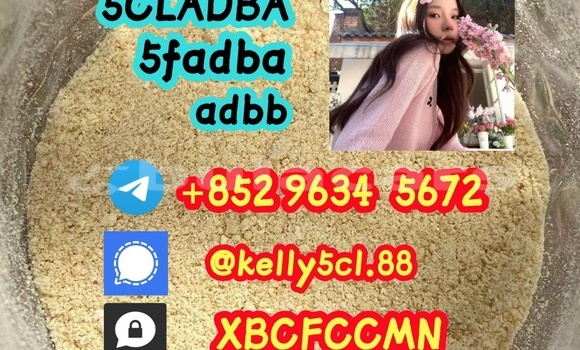 Medium with watermark 1 20 