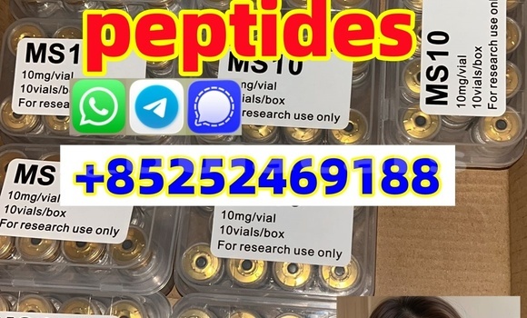 Medium with watermark 45908126 2c36 489e bf13 5c8156582b21 %e5%89%af%e6%9c%ac %e5%89%af%e6%9c%ac