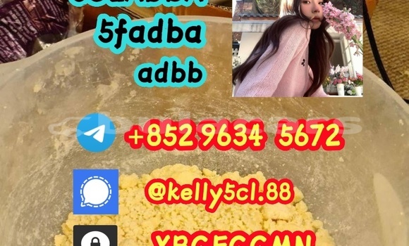 Medium with watermark 1 17 