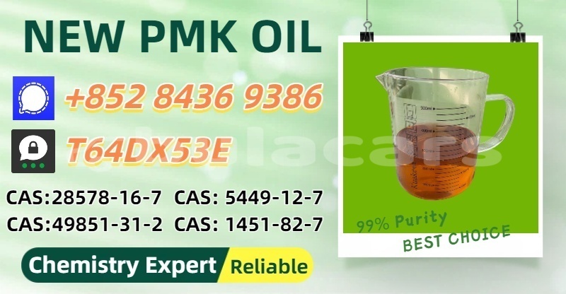 Big with watermark bertone freeclimber northern nasasa 15008