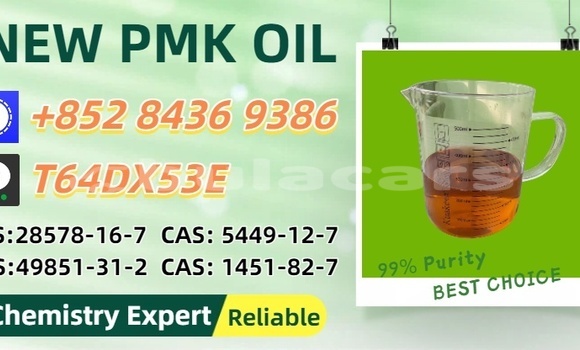 Buy Used Bertone Freeclimber Brown Car in Nasasa in Northern