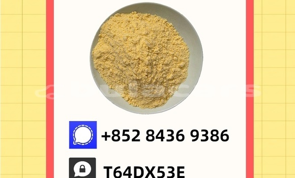 Acheter Occasion Voiture E-Car GD04B Noir à Nasasa, Northern