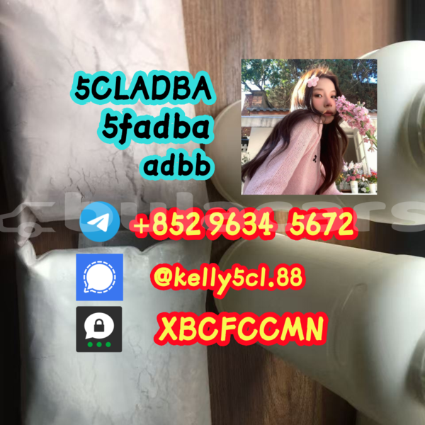 Big with watermark 1 16 