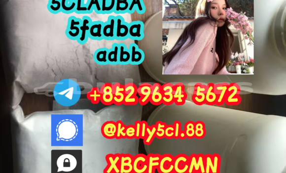 Medium with watermark 1 16 