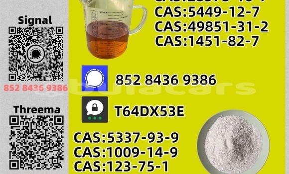 Acheter Occasion Voiture Chana Benni Bleu à Navua, Central