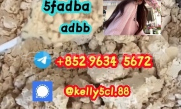 Medium with watermark 1 16 