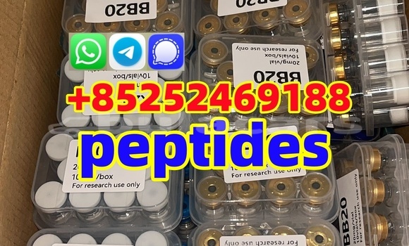 Medium with watermark f7f3eed9 8ca4 4efb b97a 2a822917b982 %e5%89%af%e6%9c%ac %e5%89%af%e6%9c%ac