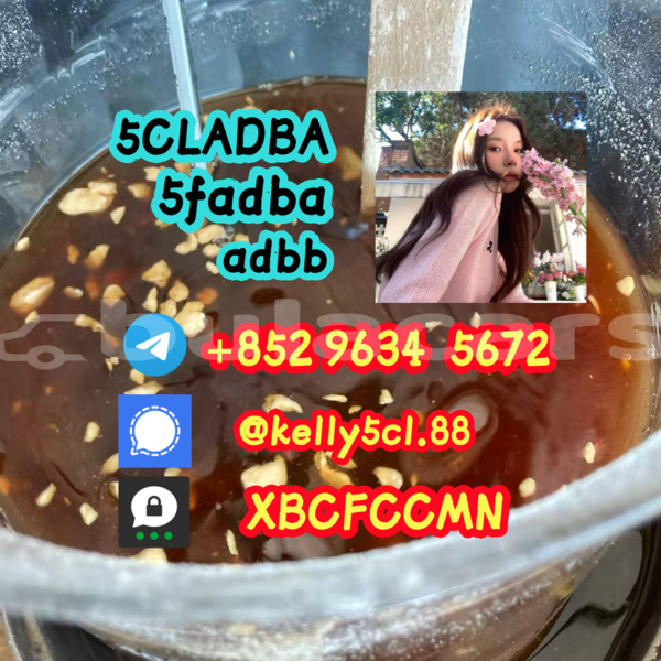 Big with watermark 1 13 