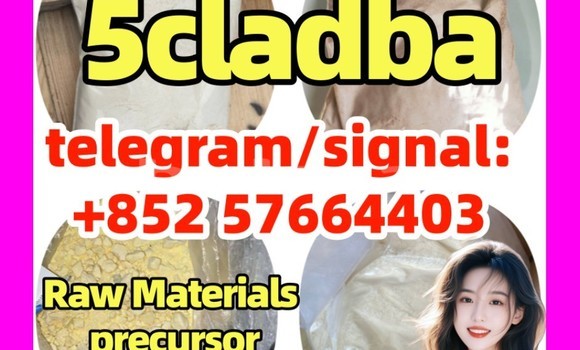 Medium with watermark 5cc4