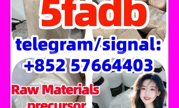 Medium with watermark 53