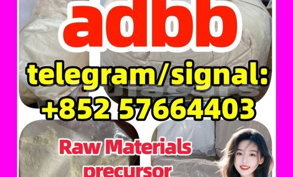 Medium with watermark 551