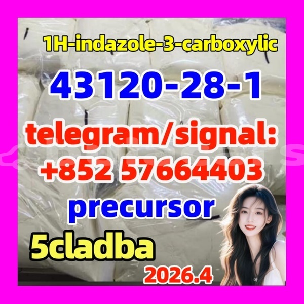 Big with watermark 43124