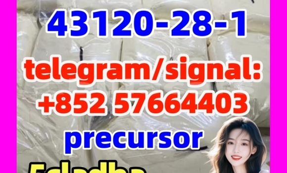 Medium with watermark 43124