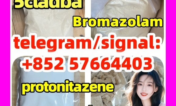 Medium with watermark z1