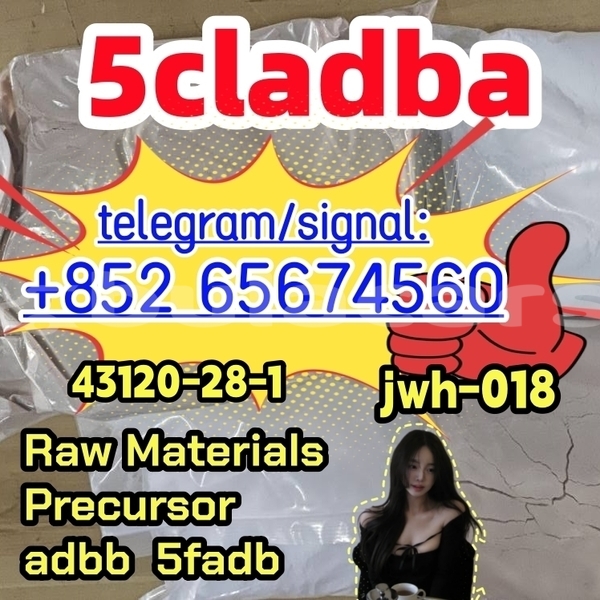 Big with watermark photo 2026 03 04 10 21 32 ewaferg%e5%89%af%e6%9c%ac