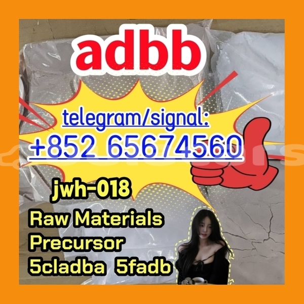 Big with watermark photo 2026 03 04 10 21 32 %e5%89%af%e6%9c%ac