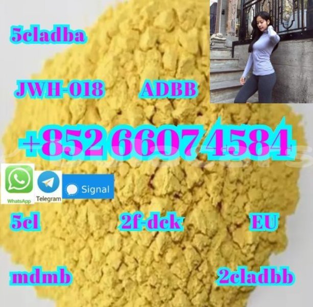 Big with watermark adler trumpf junior western komave 15077