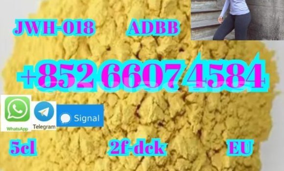 Acheter Neuf Voiture Adler Trumpf Junior Noir à Komave, Western