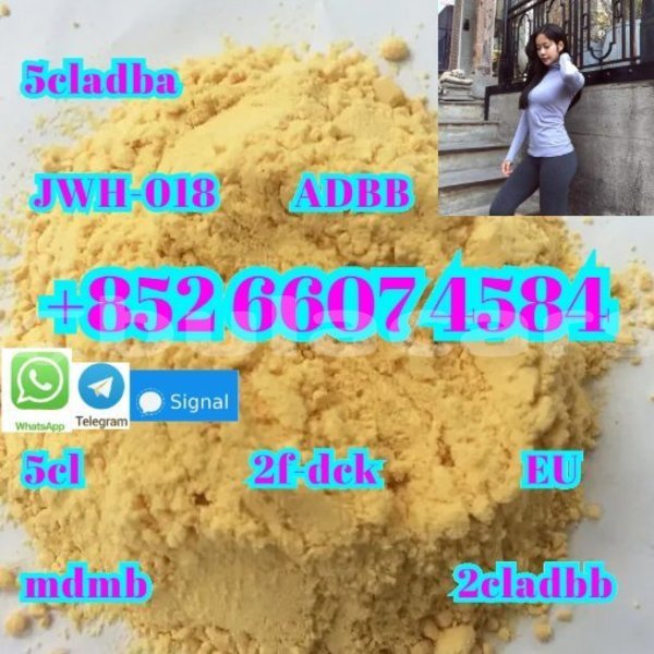 Big with watermark adler trumpf junior western komave 15077