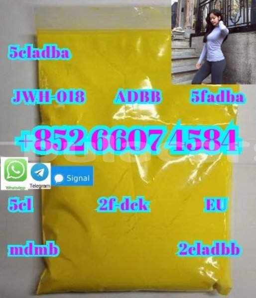 Big with watermark adler trumpf junior western komave 15077