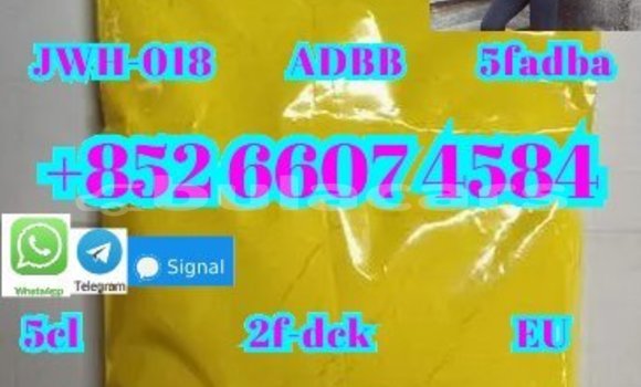 Buy New Adler Trumpf Junior Black Car in Komave in Western Buy New Adler Trumpf Junior Black Car in Komave in Western
