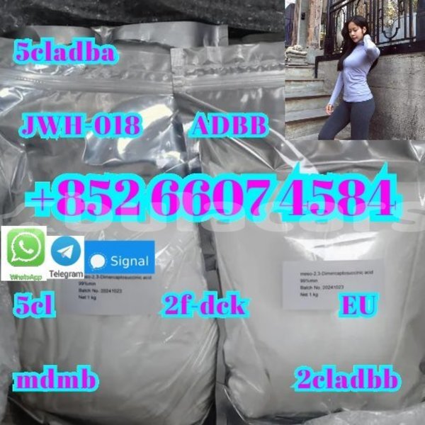 Big with watermark adler trumpf junior western komave 15077