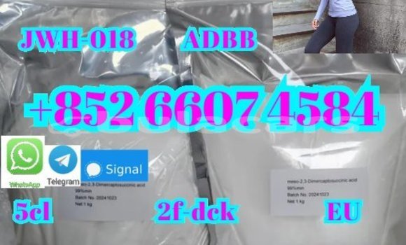 Buy New Adler Trumpf Junior Black Car in Komave in Western Buy New Adler Trumpf Junior Black Car in Komave in Western