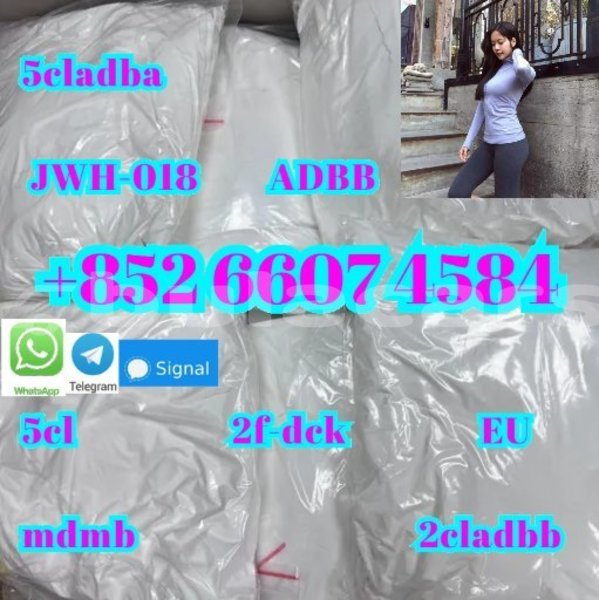 Big with watermark adler trumpf junior western komave 15077