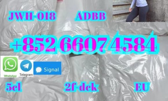 Buy New Adler Trumpf Junior Black Car in Komave in Western Buy New Adler Trumpf Junior Black Car in Komave in Western