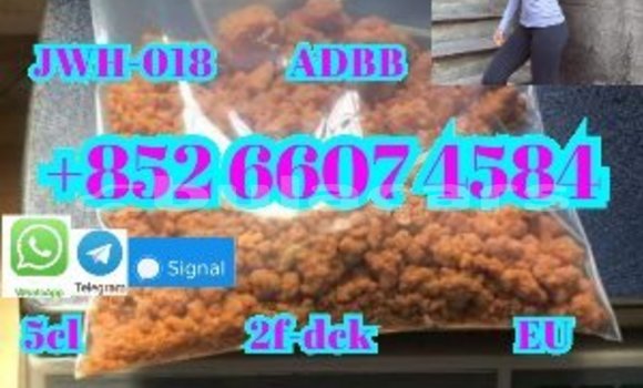 Buy New Aermacchi Ala Verde Black Bike in Deuba in Central