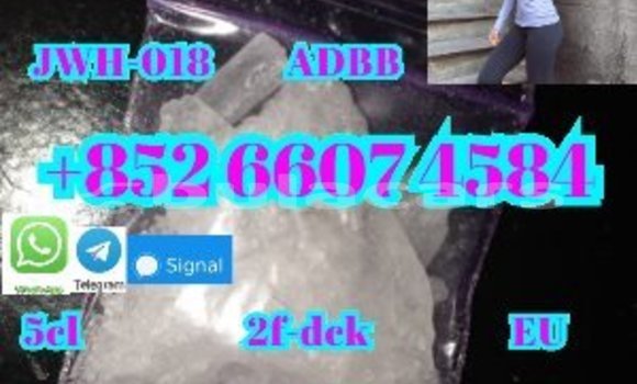 Buy New Aermacchi Ala Verde Black Bike in Deuba in Central Buy New Aermacchi Ala Verde Black Bike in Deuba in Central