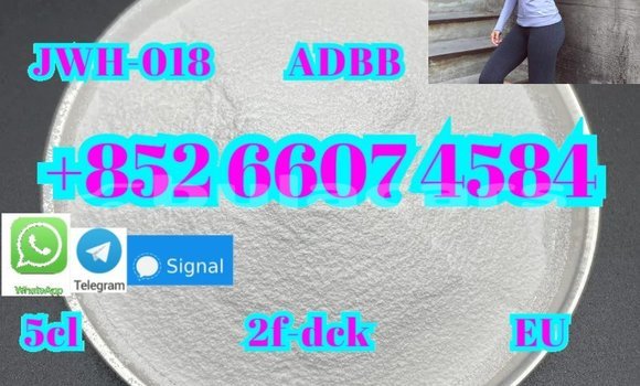 Buy New Aermacchi Ala Verde Black Bike in Deuba in Central Buy New Aermacchi Ala Verde Black Bike in Deuba in Central