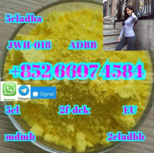 Big with watermark ajs cadwell central import dubai 15080