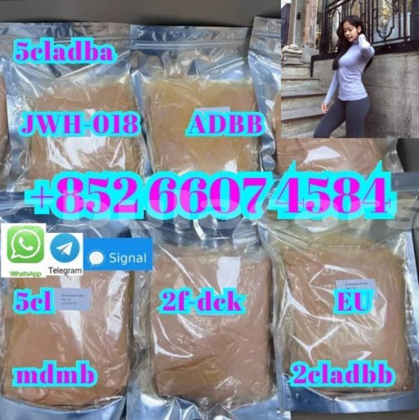 Big with watermark ajs cadwell central import dubai 15080