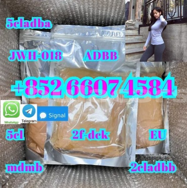 Big with watermark ajs cadwell central import dubai 15080