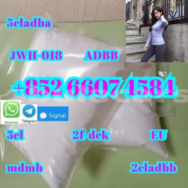 Big with watermark ajs cadwell central import dubai 15080