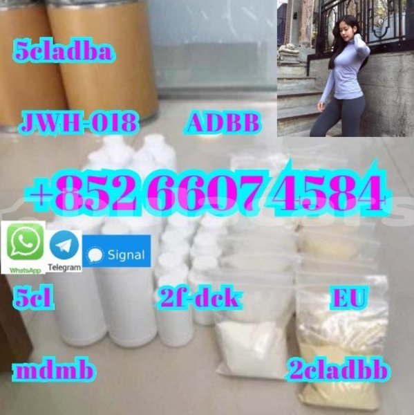 Big with watermark ajs cadwell central import dubai 15080
