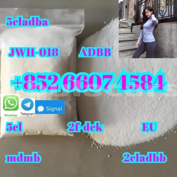 Big with watermark ac aceca central deuba 15081