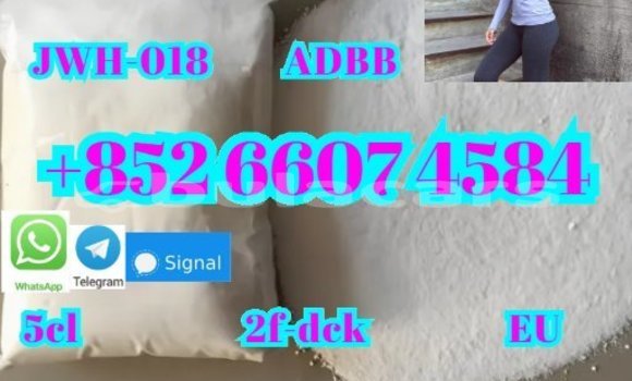 Buy New AC Aceca Black Car in Deuba in Central