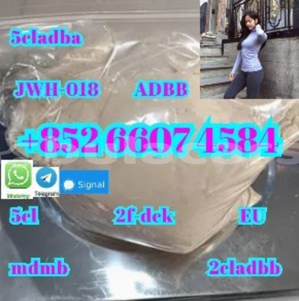 Big with watermark ac aceca central deuba 15081