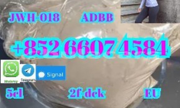 Buy New AC Aceca Black Car in Deuba in Central Buy New AC Aceca Black Car in Deuba in Central